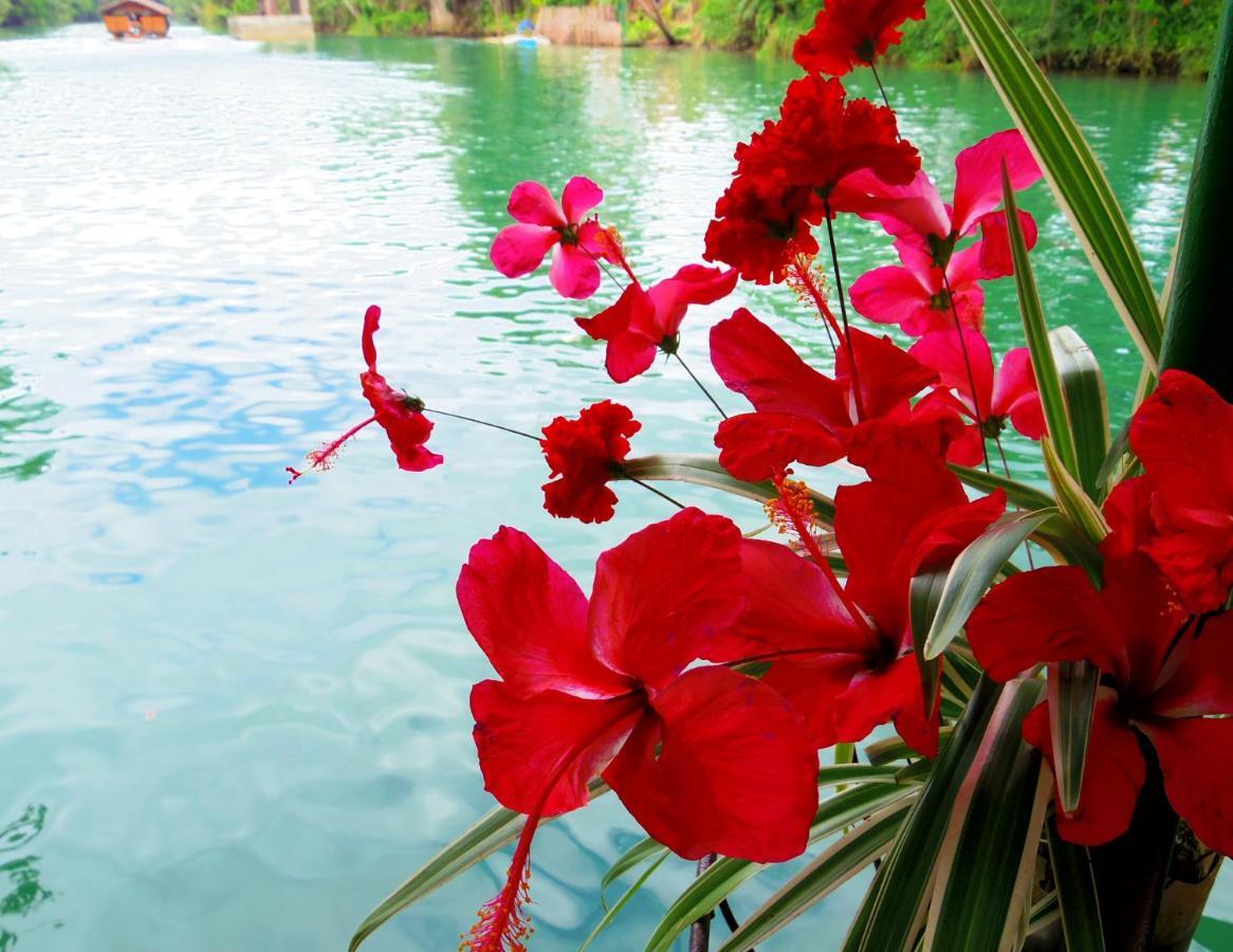 Chiisai Natsu Resort Bohol Buitenkant foto
