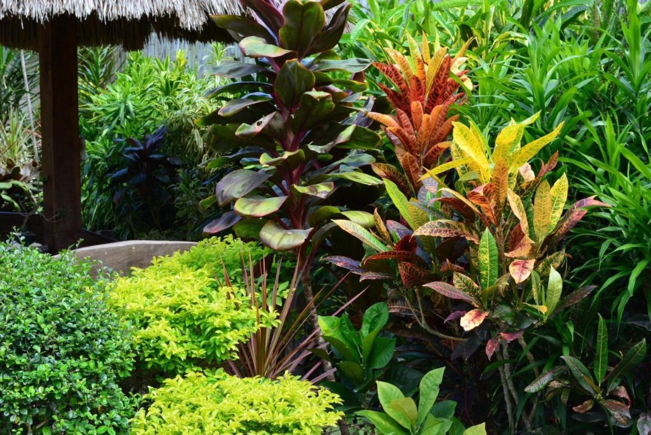 Chiisai Natsu Resort Bohol Buitenkant foto